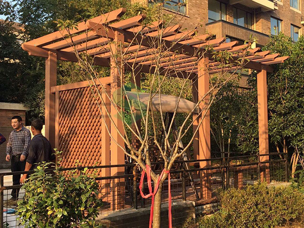 Grape trellis in the courtyard of Jiangnan New City